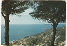SECCHETO - ISOLA D'ELBA - LIVORNO - VIAGG. -96905-