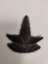 RSI, fregio da truppa del