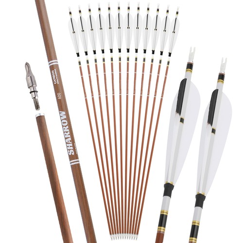 Frecce puro carbonio 5 - frecce, 31"