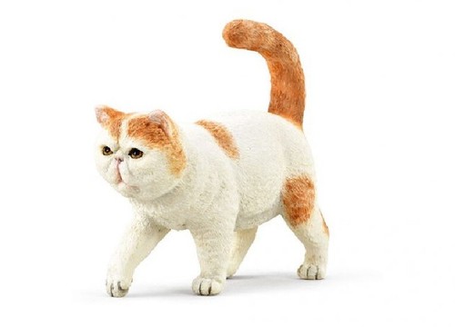 Collecta 88937 gatto - 88937, esotico