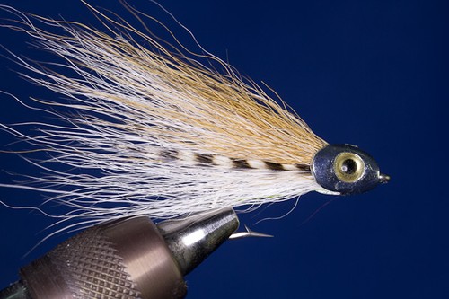Fliegentom streamer - streamer, di