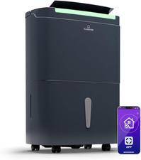 Deumidificatore Smart, Deumidificatore Casa per Muffa E Umidità Silenzioso, Deum