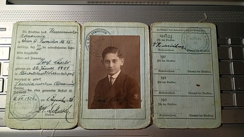 School vienna - 15, y.o