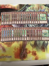 Deck Naturia Yugioh 44 Cards