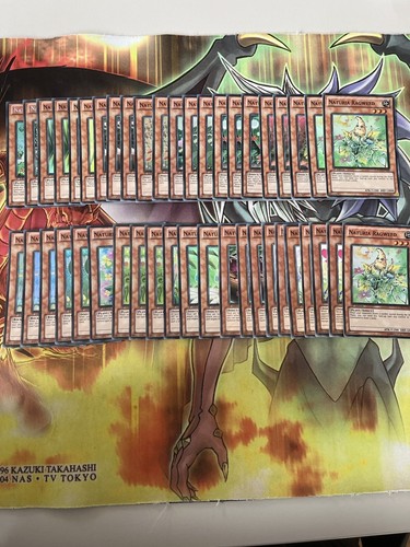 Deck naturia yugioh cards - naturia,