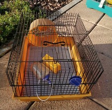 GABBIA PER CRICETO CON RUOTA, BEVERINO E MANGIATOIA