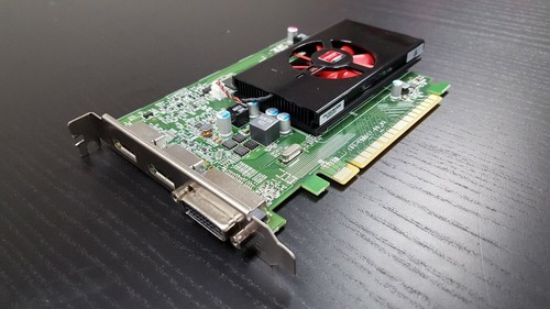 Scheda grafica video ddr3 - grafica,