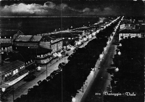 Cartolina viareggio viale - cartolina,