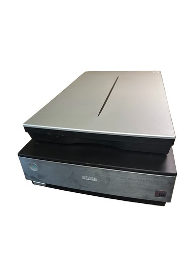 Scanner fotografico epson - scanner,