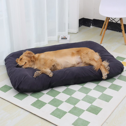 Cuccia per cani - per,