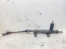 CANNA DELLO STERZO (PIANTONE)