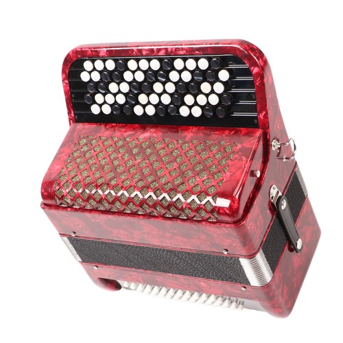 Fisarmonica tasti 60 - fisarmonica,