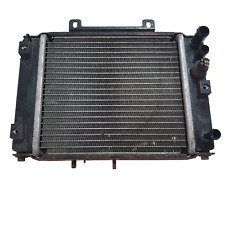 RADIATORE ACQUA KYMCO DINK 200 2007 2014