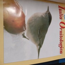 Italia ornitologica anno 1995