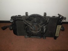 Radiatore completo di