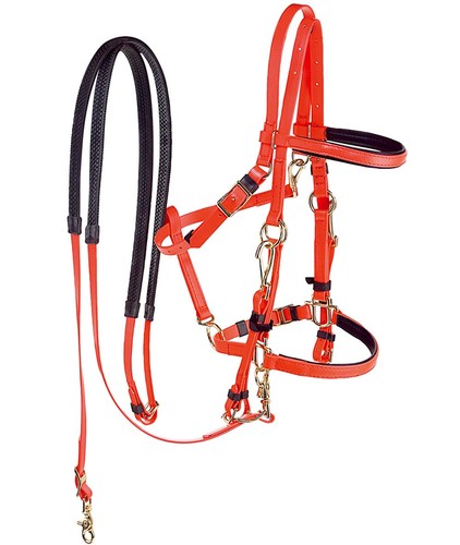 Briglia cavezza western pvc - briglia, in