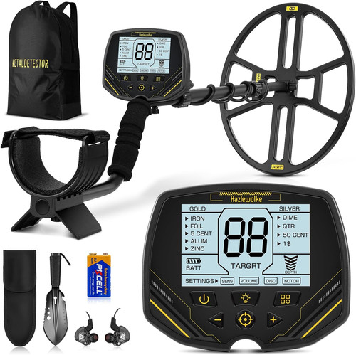 Metal detector professionali - detector,