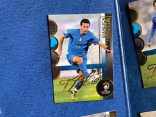 Panini euro 2008 golden card - 2008,