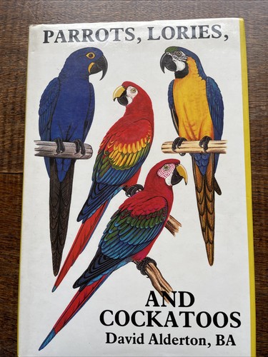 Parrots lories and - lories, cockatoos