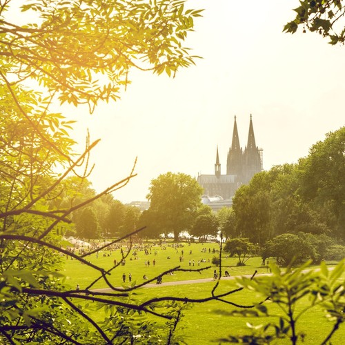 Breve viaggio colonia nrw reno - viaggio,