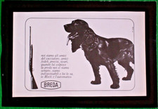 STAMPA PUBBLICITARIA FUCILI E MUNIZIONI BREDA   incollata su cartoncino