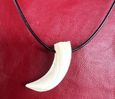 COLLANA CON ZANNA DI CINGHIALE