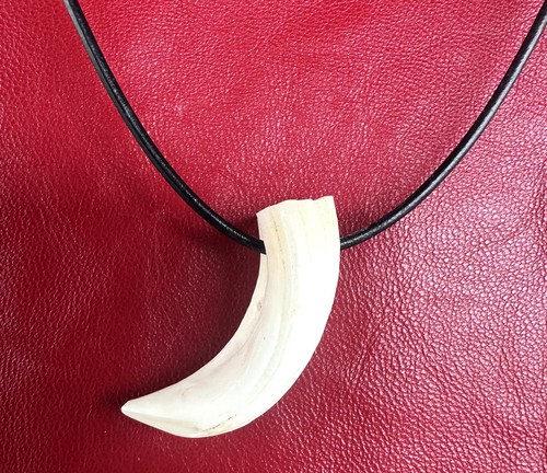 Collana con zanna cinghiale - collana,