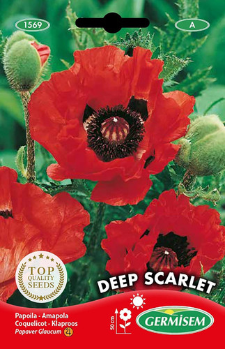 Deep scarlet semi papavero - deep,