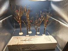 Reparto 56 Alberi Ramo Nudo