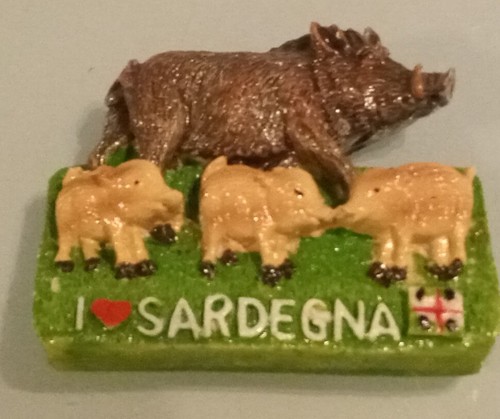 Sardegna wild boar - sardegna, (sardinia)
