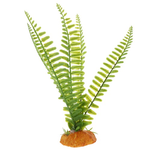 Decorazione pianta rettile - pianta, di