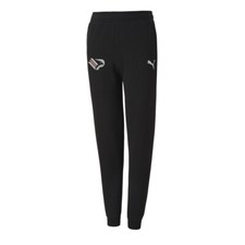 Puma palermo team - f.c., goal