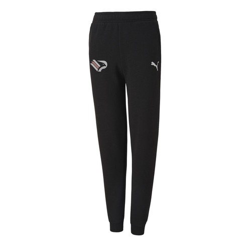 Puma palermo team goal - f.c.,