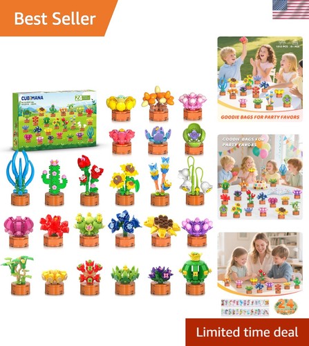 Confezione fiori succulente - confezione,