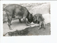 Rara bellissima foto vintage