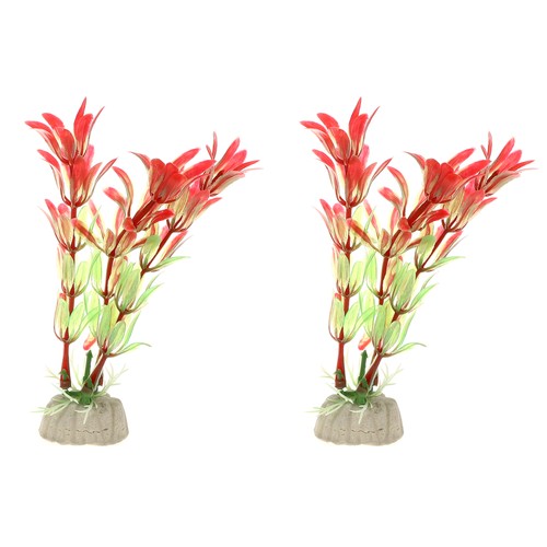 2pz acquario piante - 2pz,