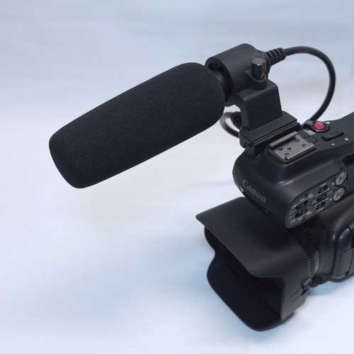 Microfono fucile videocamera