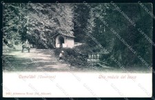 Arezzo Camaldoli Casentino Bosco Alterocca 302 cartolina JK0591