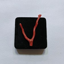 Ramo di corallo rosso naturale