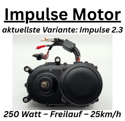 Motore bike derby cycle - e-bike,