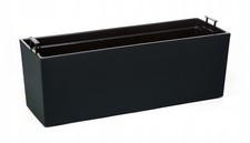 Fioriera Begonia nera lucida