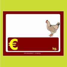 KIT 10 CARTELLINI NEUTRI