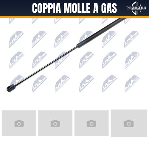 Coppia molle gas pistoncini - molle,