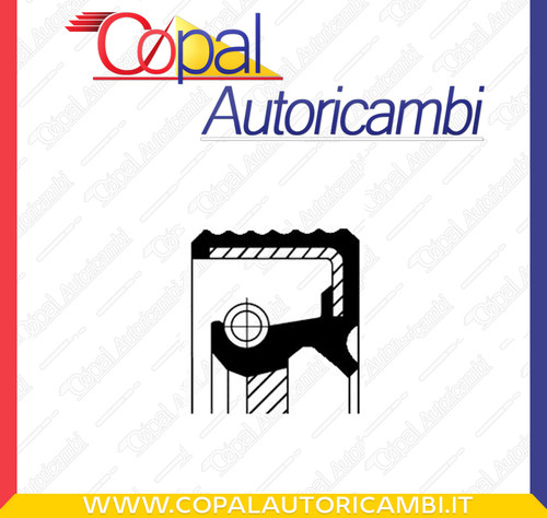 Paraolio albero camme - albero,