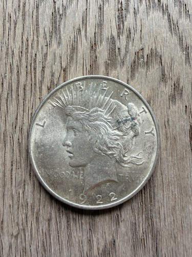 Usa peace dollar dollaro - dollar,