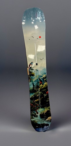 Burton custom flying 162 - custom,