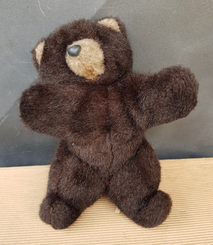 Orso orsetto orsacchiotto - , di