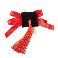 10 pz tocco laurea cappello