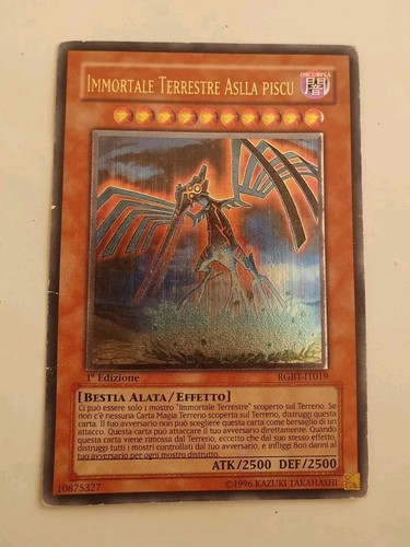 Immortale terrestre aslla - terrestre,