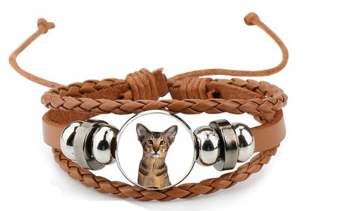 Oriental cat pet brown - cat, leather
